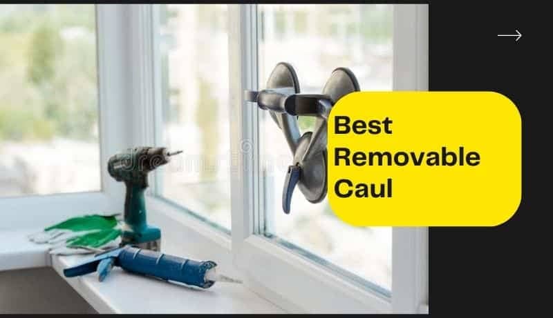Best Removable Caul